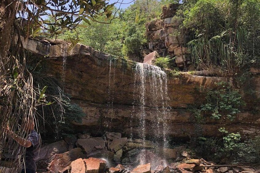 Una cascada se precipita sobre un risco rodeado de vegetación. 1
