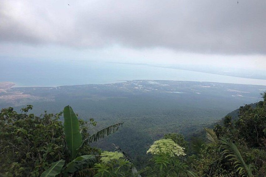 Un paisaje costero con vista al mar, vegetación densa y cielo nublado. 4