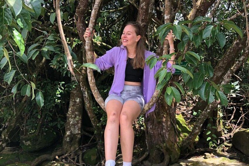 Una persona sentada en una rama de árbol en un área boscosa. 3