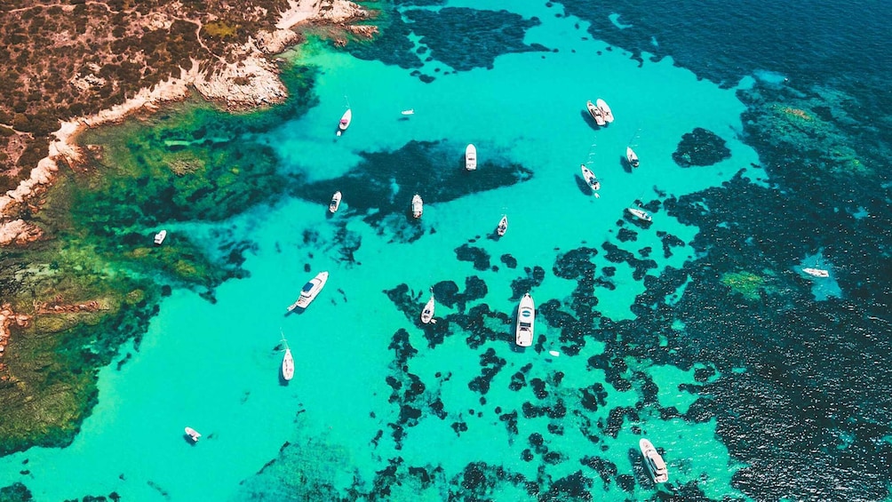 An aerial view of a turquoise sea with numerous boats scattered across the water. 1