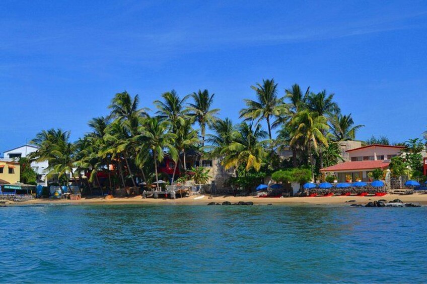 Una playa con palmeras, cielo azul despejado y edificios al fondo. 5