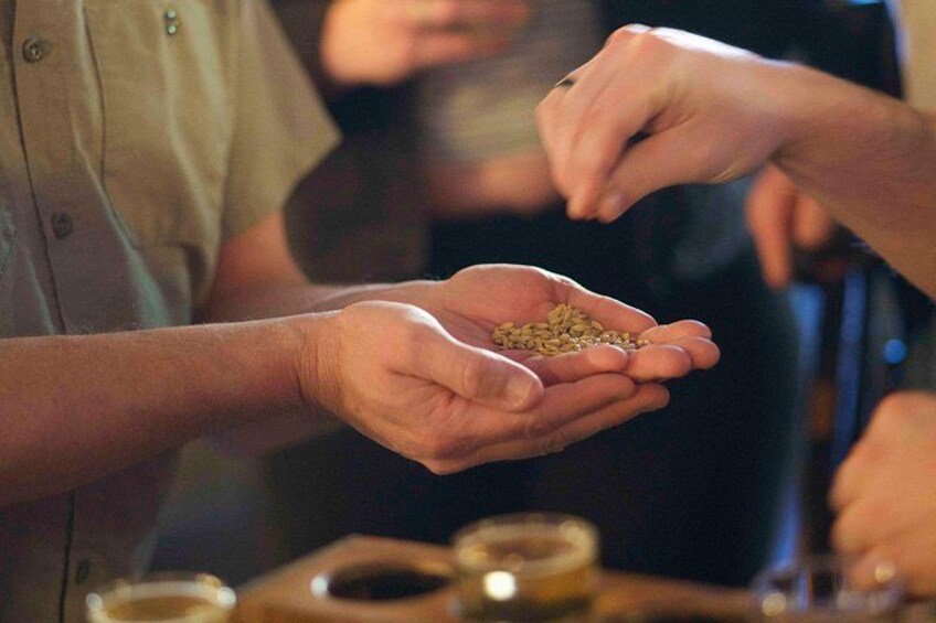 Premier Walking Guided Brewery Tour Through Downtown Asheville 2