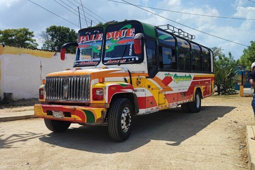 Tour to San Basilio Palenque with Bilingual Native Guide 5