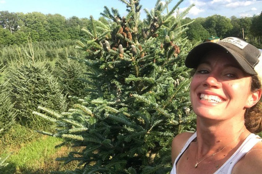 A person standing in front of a coniferous tree with a clear sky in the background. 1