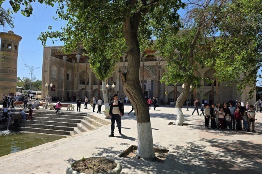 A courtyard with a large tree, a fountain, and historic architecture. 3