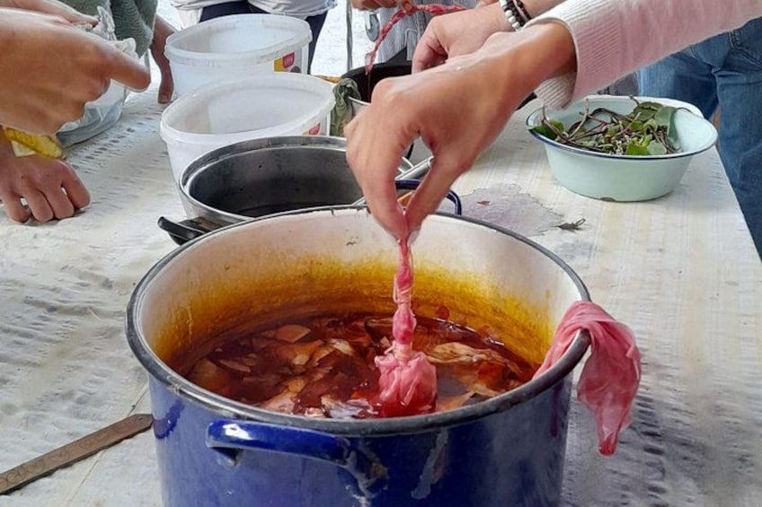2 Hours Nature Dyeing Fabric with Local Plants in Cyprus 3