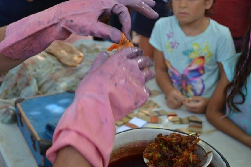2 Hours Nature Dyeing Fabric with Local Plants in Cyprus 3