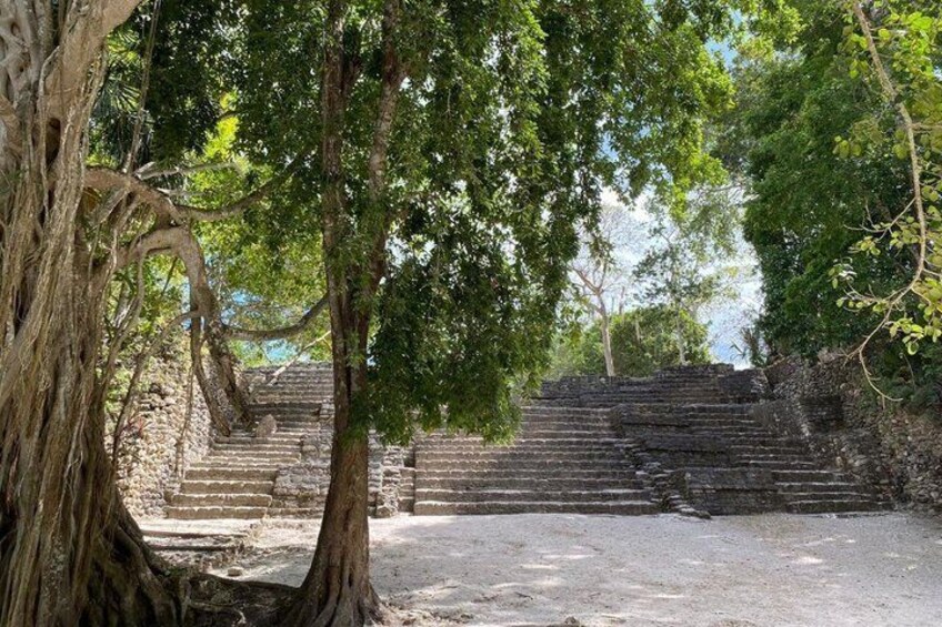 Ancient stone steps leading up to a temple, surrounded by large trees. 2