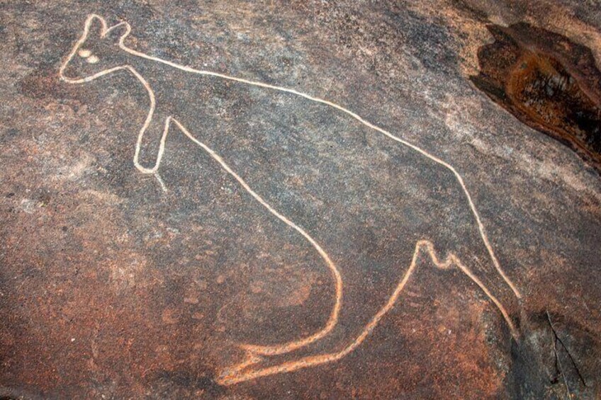 Witness Carvings, Etched into the Rocks by Those who Walked this Land Before Us 2