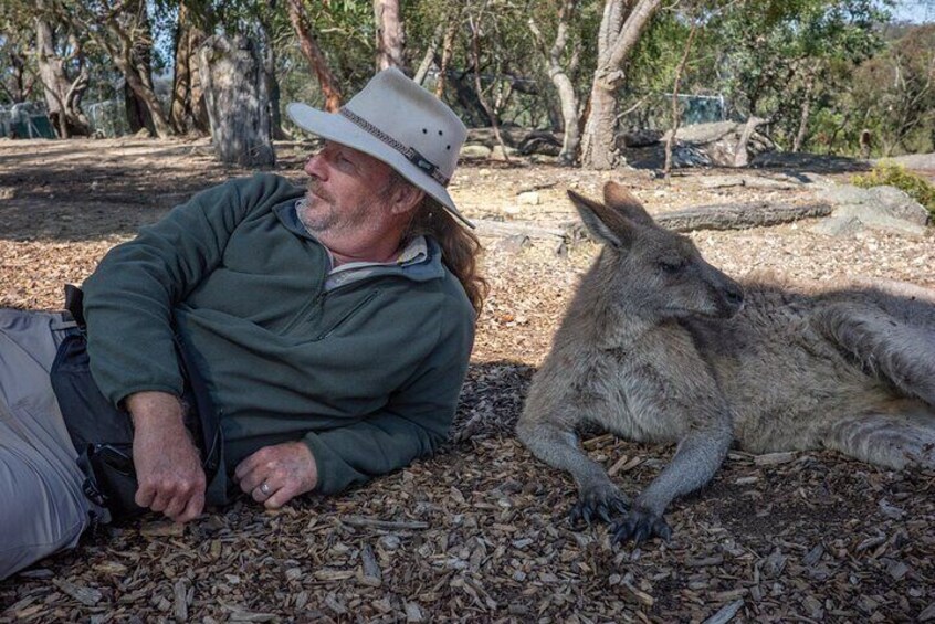 A person sitting on the ground next to a kangaroo in a wooded area. 3