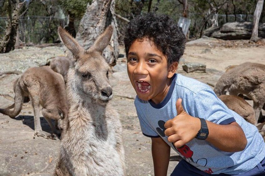 Roo-Approved! Find a New Best Mate 2