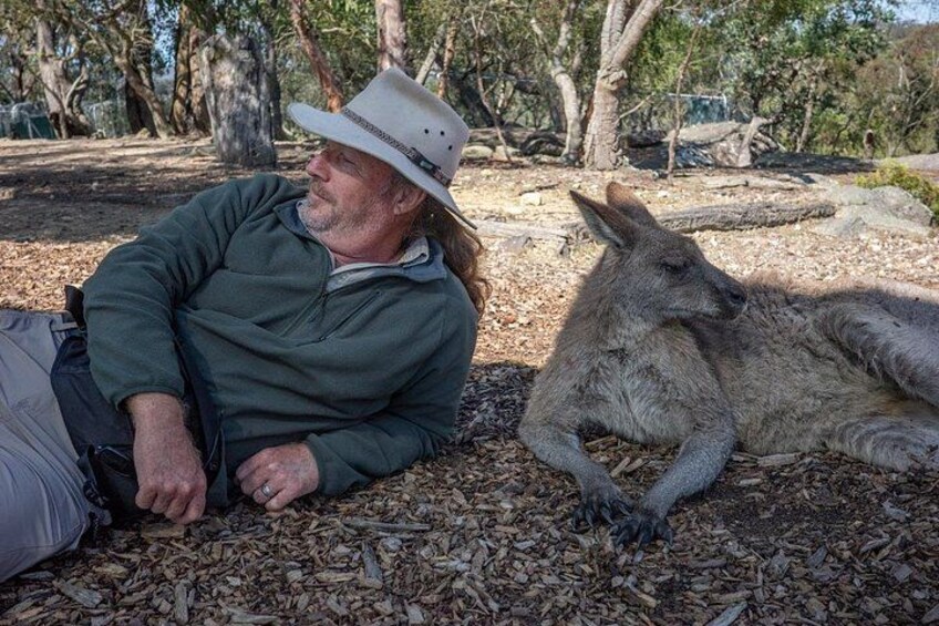Meet a Marsupial: Share a Moment of Aussie Cool 2