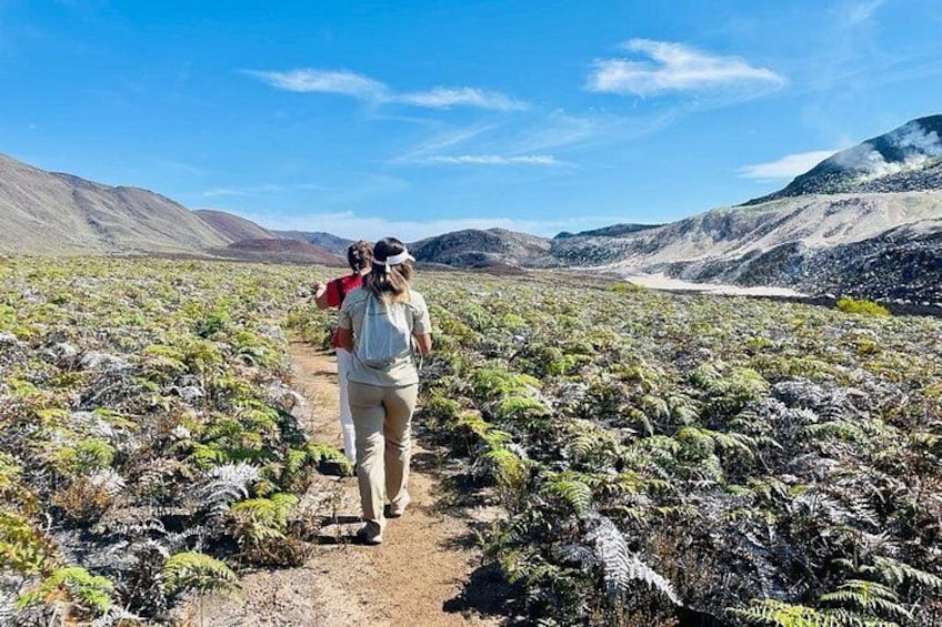 Half-Day Private Tour in Sierra Negra Volcano's Sulfur fumaroles 5