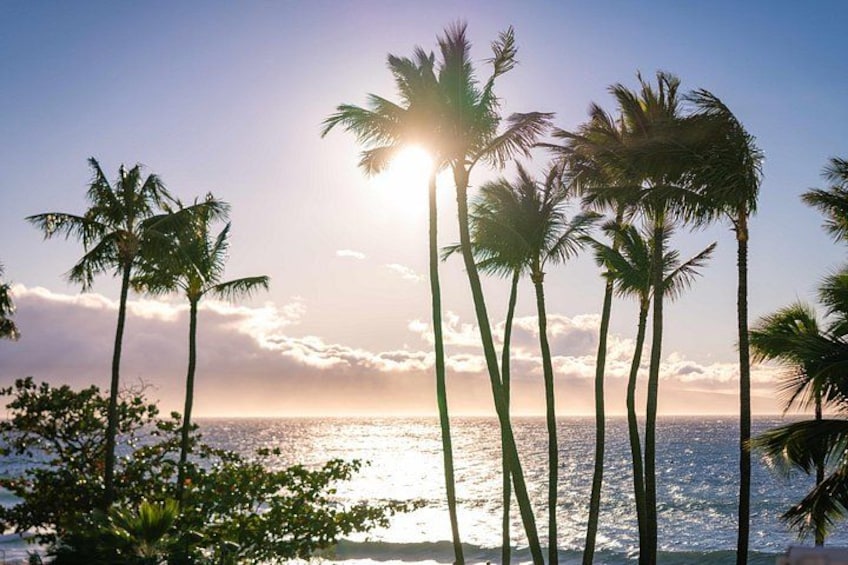 A beach with palm trees and the ocean at sunset. 2