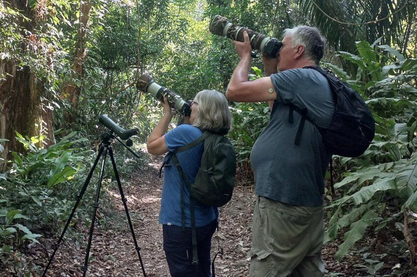 Two people using a large camera on a tripod in a forest. 4