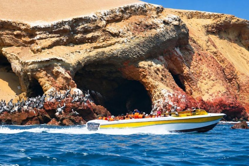 Lima : Paracas & Huacachina- Day to Islas Ballestas & Sandboard 4