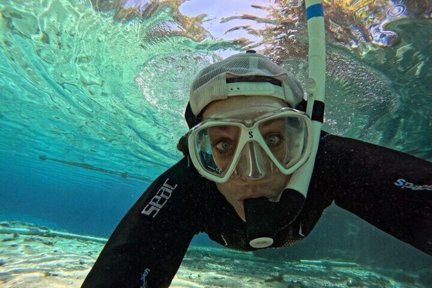 Guaranteed Snorkel with Manatee Tour w/ Guide & Photographer  2