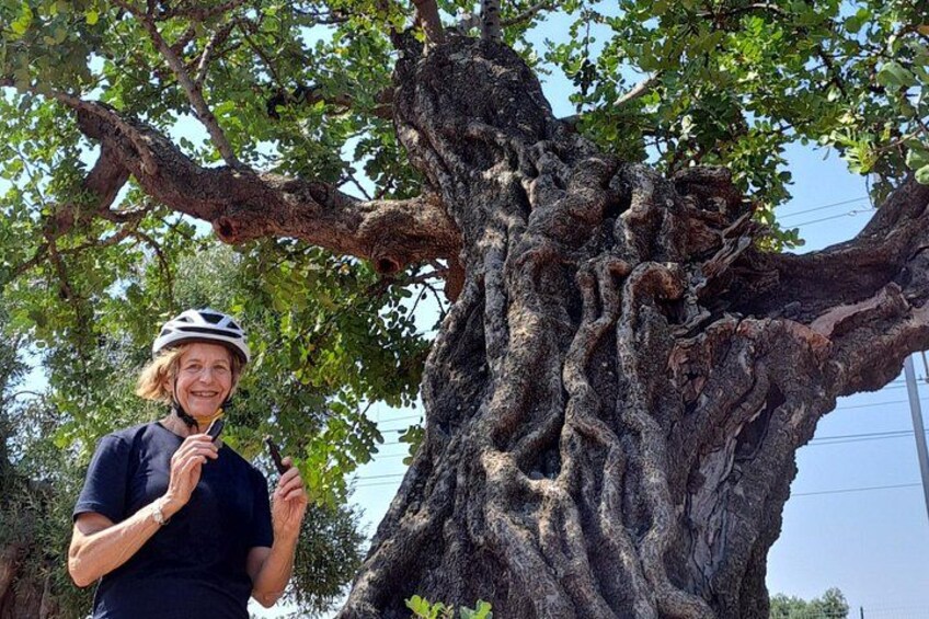 e-Bike tour from Monopoli to the rocky village of S. Andrea 5