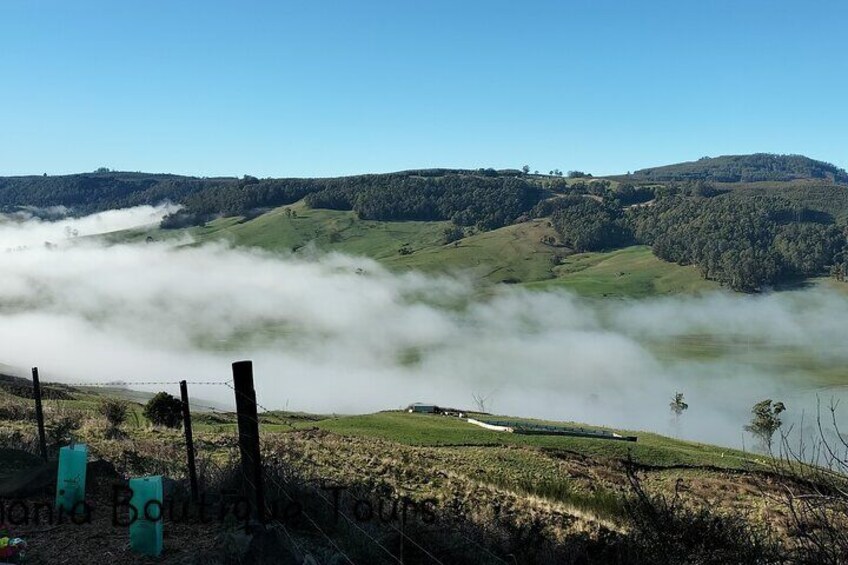 Leven Canyon and Gunns Pains Caves Tour 