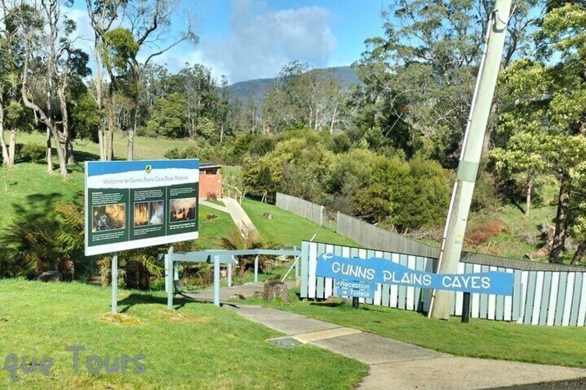 Leven Canyon and Gunns Pains Caves Tour 