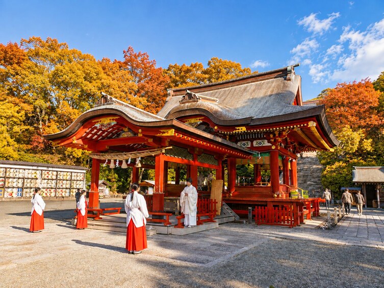 From Tokyo - Kamakura & Enoshima - One Day Bus Tour 4