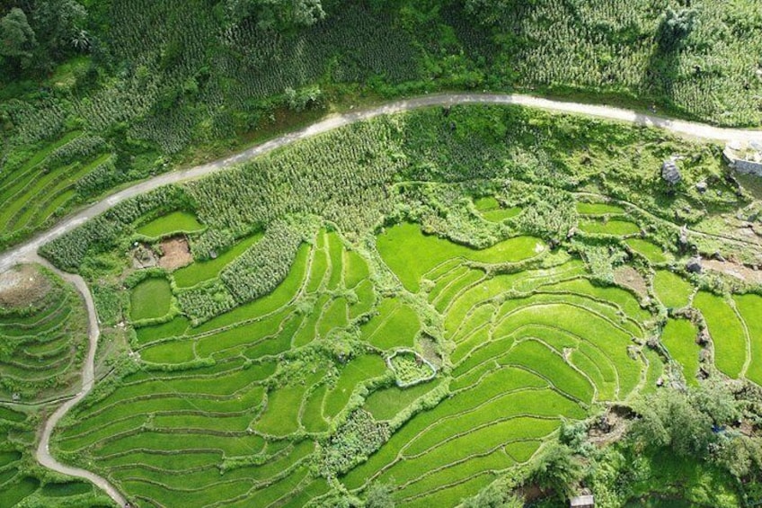 Terraced rice fields, a winding road, and dense forested hills. 4