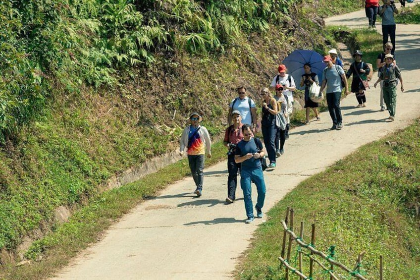 A group of people walking on a dirt path surrounded by greenery. 2