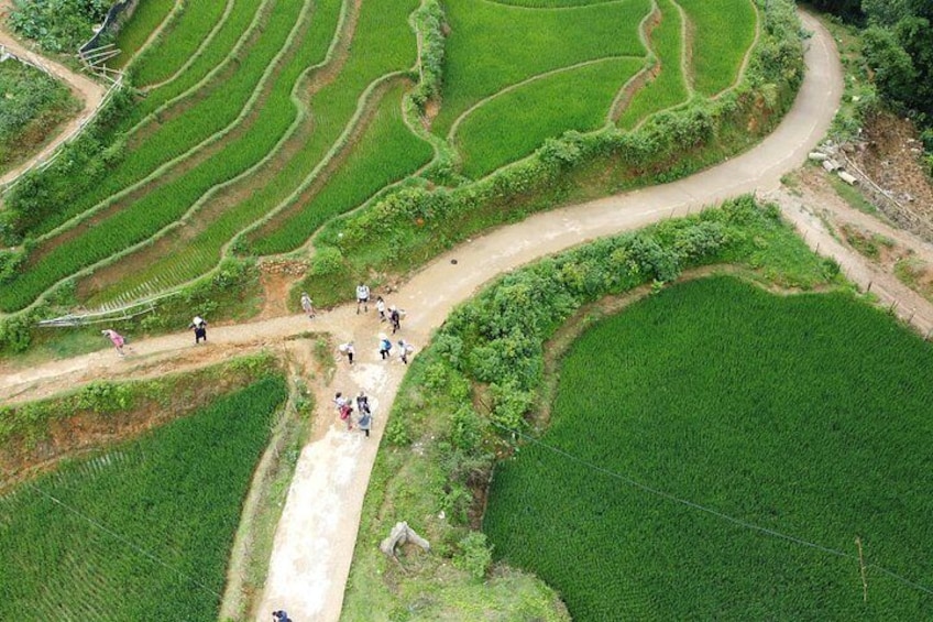 Terraced rice fields with a winding path and people walking. 3