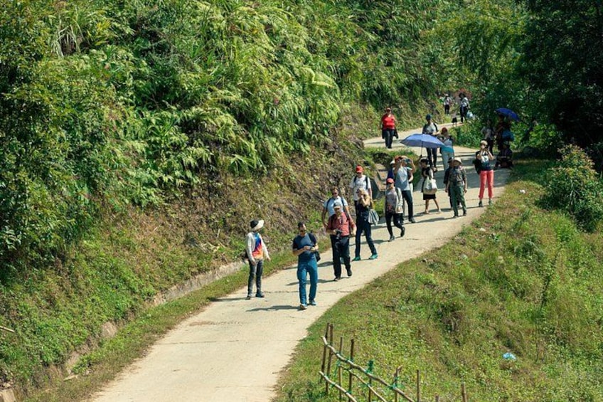 A group of people walking on a dirt path surrounded by lush greenery. 2