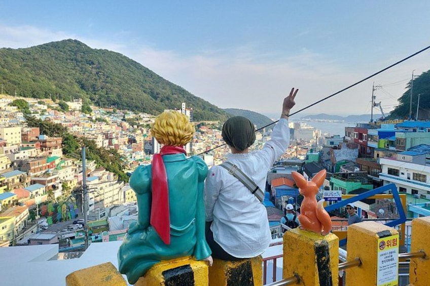 Private Tour Gamcheon CultureVillage & Busan City Tour 1