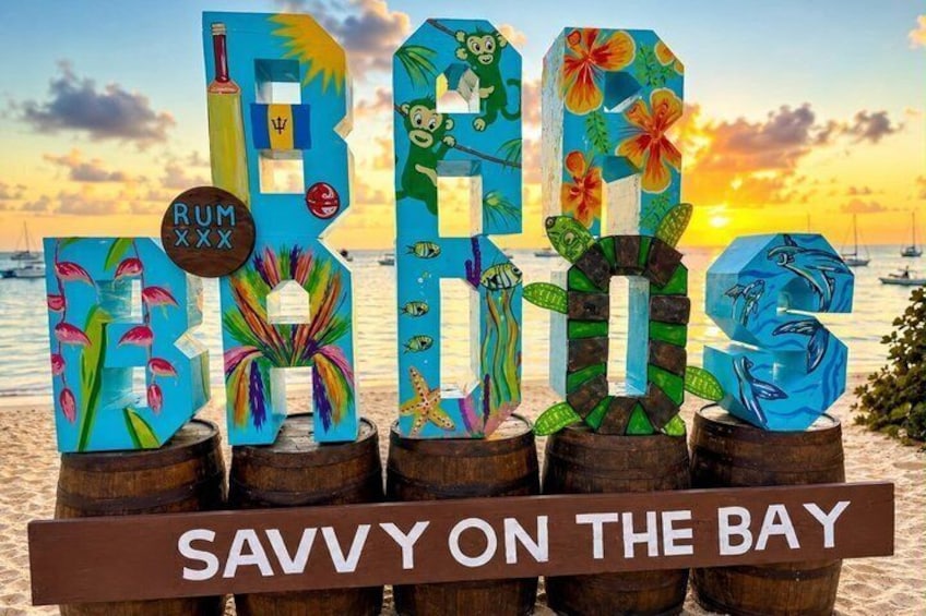 Barbados Shore Excursion: Wildlife Encounter and Beach Day 3