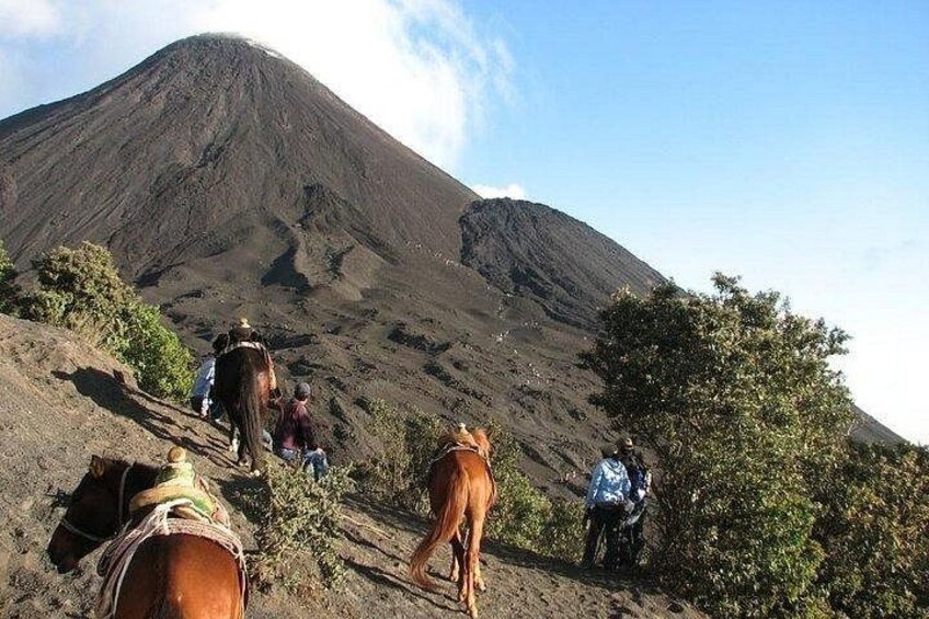 A group of people hiking up a mountain with horses. 5