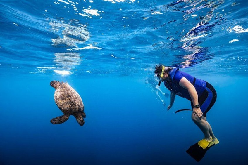 Snorkeling 2