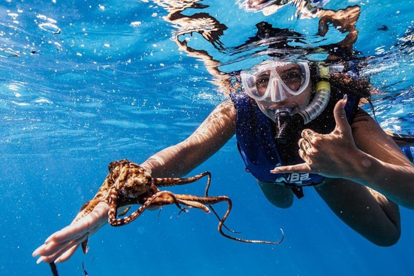 En person under vandet med snorkel og maske, der rækker ud efter en blæksprutte. 4