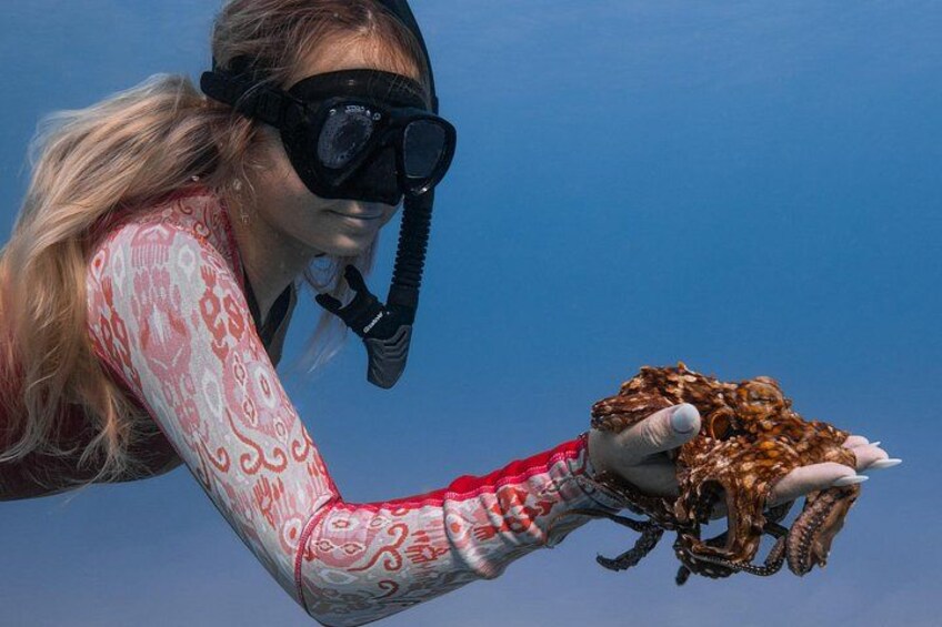 One of our talented snorkel guides showing our customers an octopus at Turtle Canyon 5