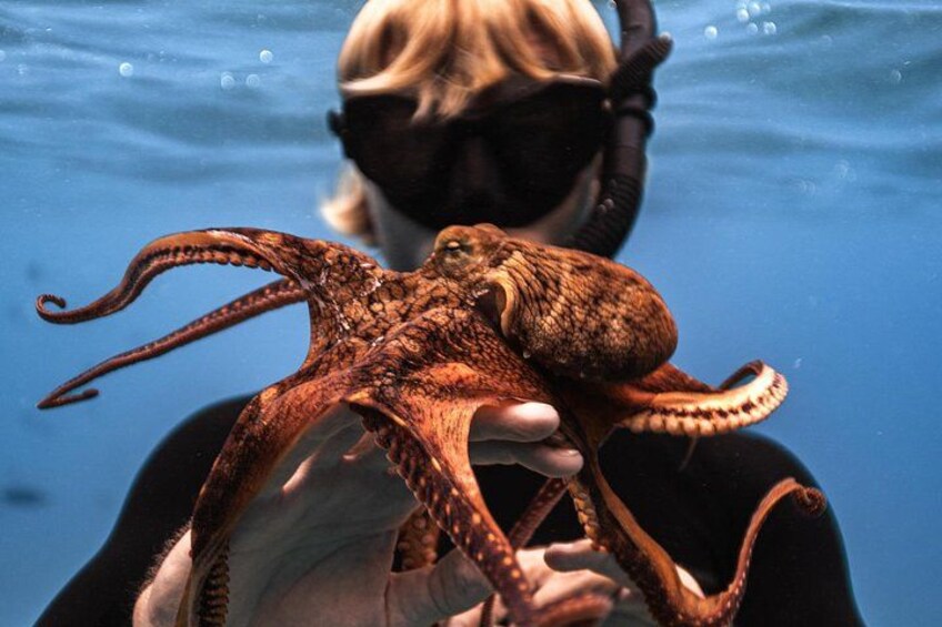 Snorkel Guide "Moe" holding an Octopus Friend 4