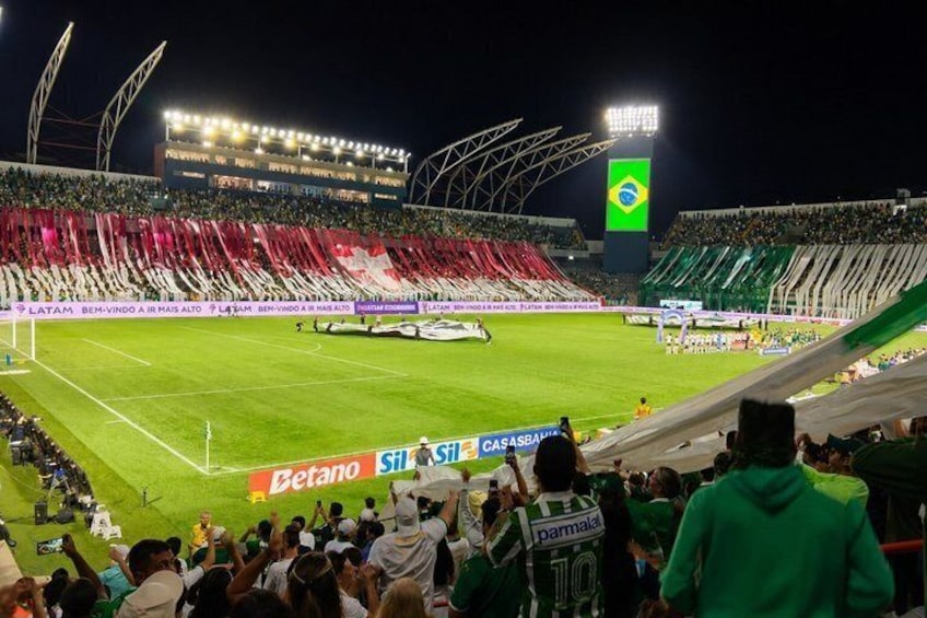 A stadium with a crowd, a soccer field, and a large flag. 1