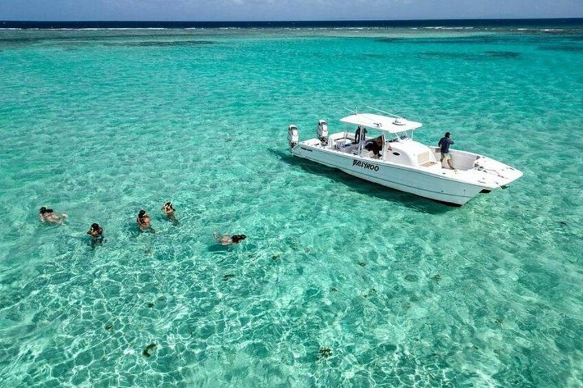 Private Snorkel and Cruise Experience in Ceiba 4