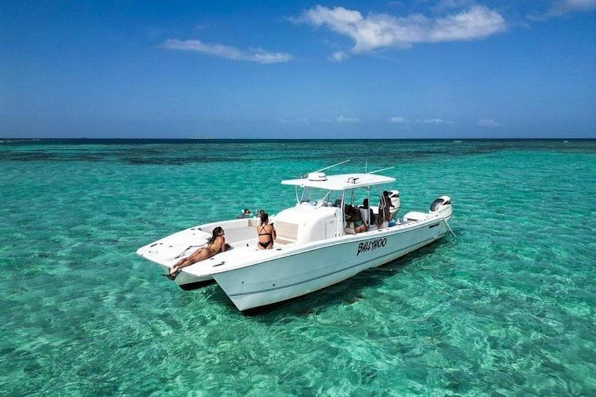 Private Snorkel and Cruise Experience in Ceiba 2