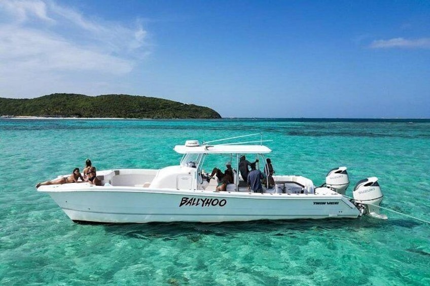 Private Snorkel and Cruise Experience in Ceiba 3