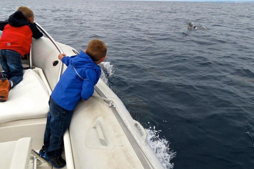 Kids love, love, love seeing dolphins up close! 2