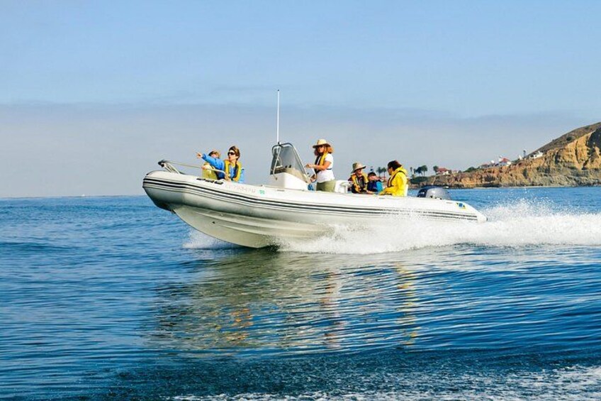 Offshore Blue Adventures Boat = 22' of fun! 2