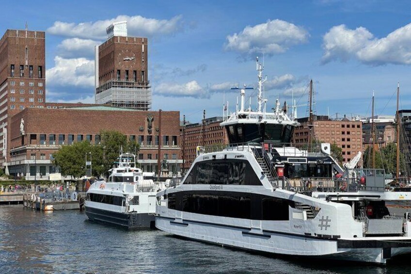 3 Hours Island Hopping Tour in Oslo 3
