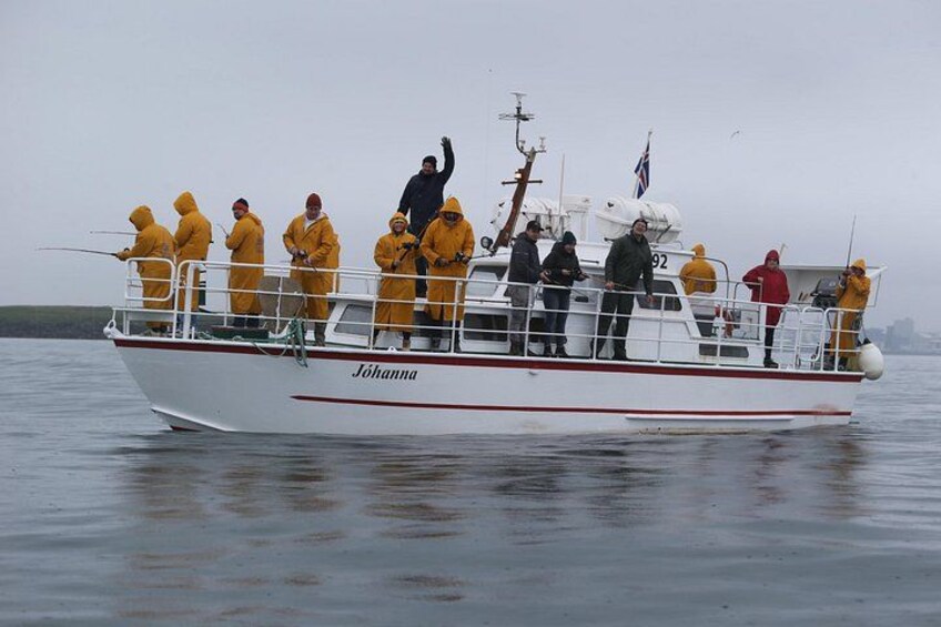 Reykjavik's Finest Catch: Guided Sea Angling Tour for All Levels 2