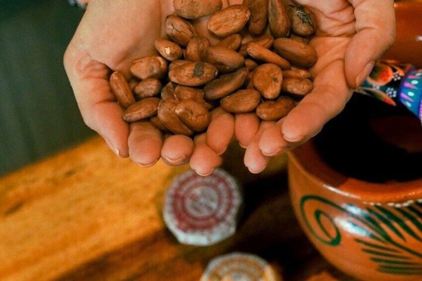 Cacao 2