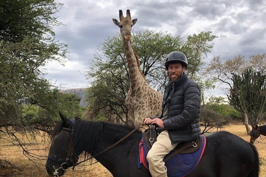 Een ruiter met een giraffe op de achtergrond. 5