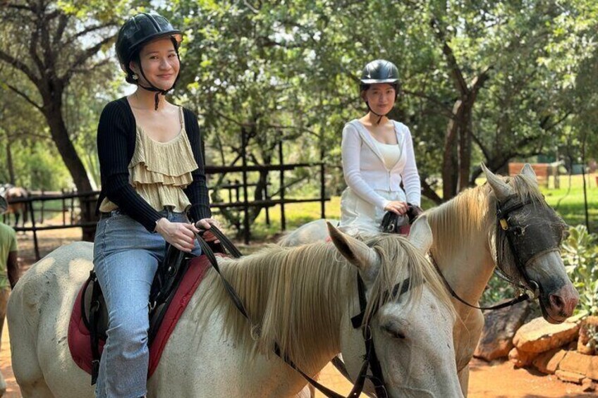 Exhilarating Horseback Safari Departing from Johannesburg