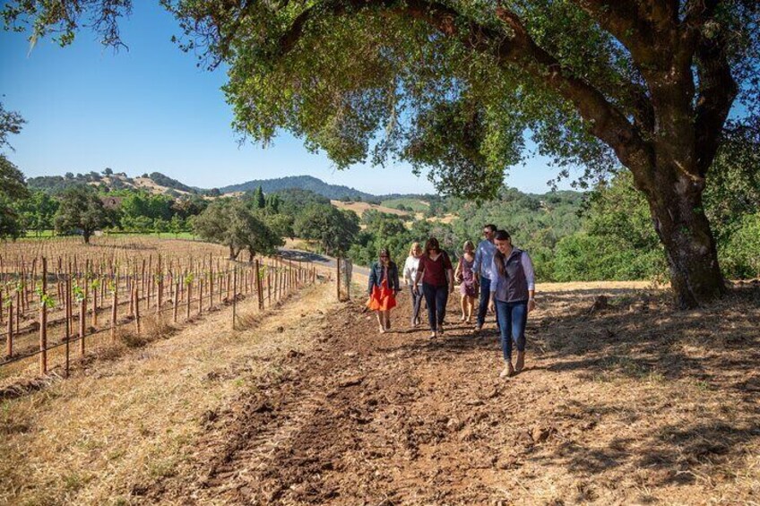 Knossos Palace, Olive Mill-Winery Visit with Tastings and Lunch 