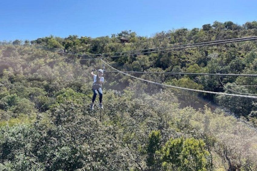 Une personne sur une tyrolienne, dans une zone boisée avec des arbres et des lignes électriques. 2