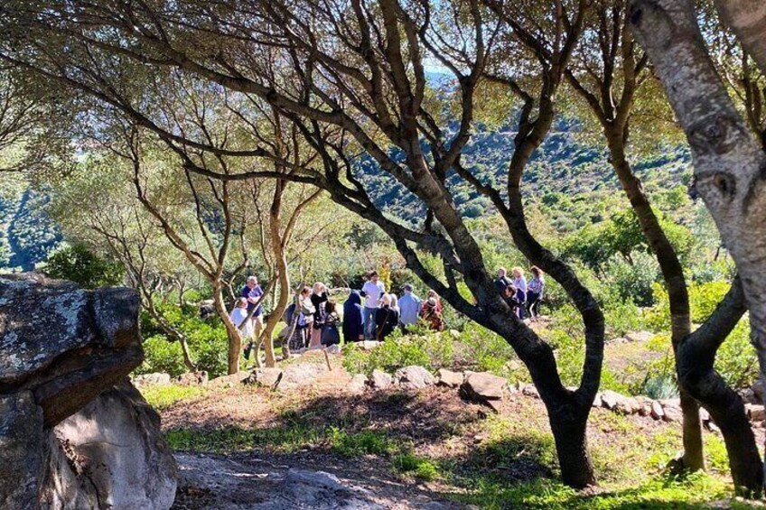 Olbia: visit a myrtle-making factory with tasting 4